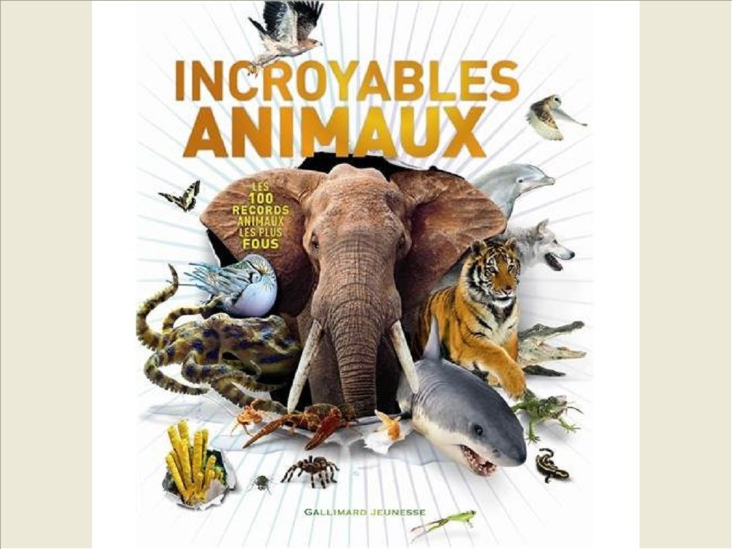 INCROYABLES ANIMAUX - LES 100 RECORDS ANIMAUX LES PLUS FOUS