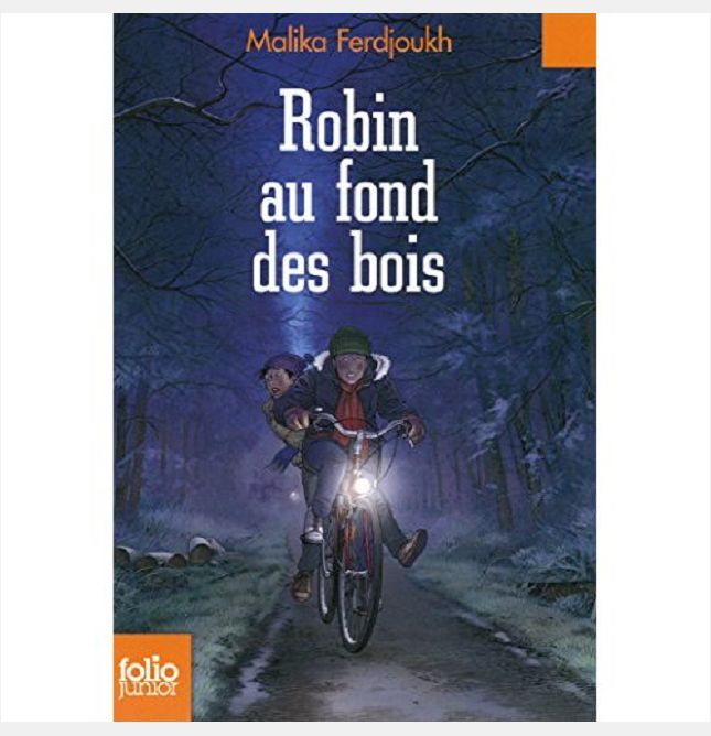 ROBIN AU FOND DES BOIS