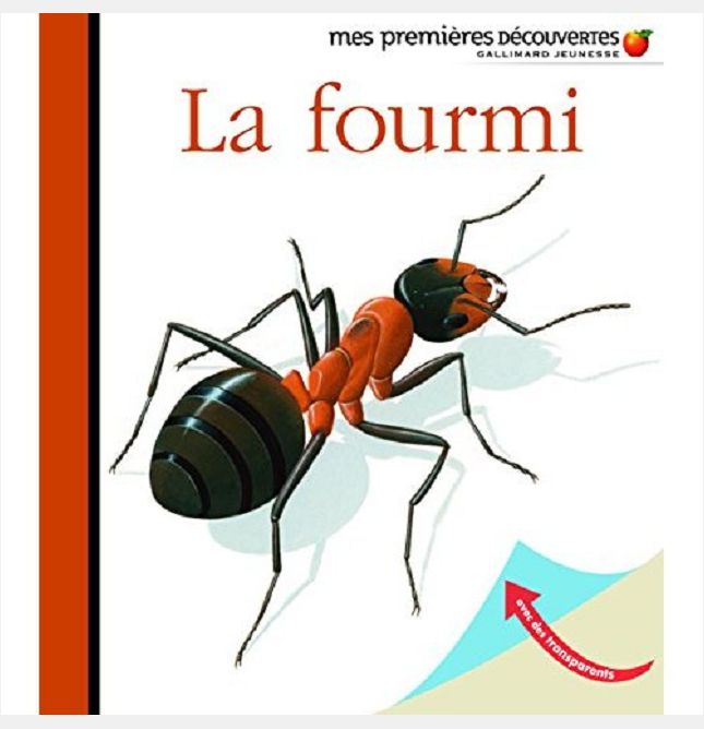 LA FOURMI