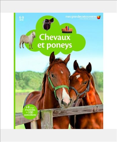 CHEVAUX ET PONEYS