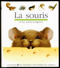 LA SOURIS ET LES AUTRES RONGEURS