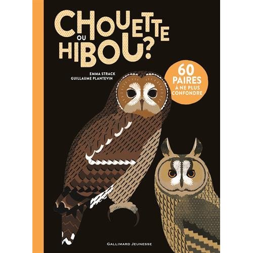 CHOUETTE OU HIBOU ?