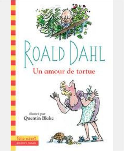 UN AMOUR DE TORTUE