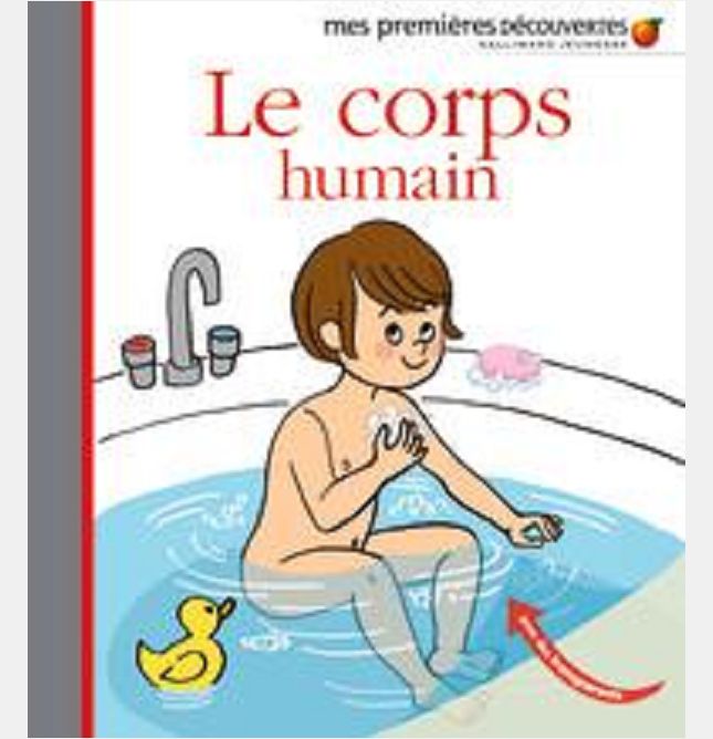 LE CORPS HUMAIN