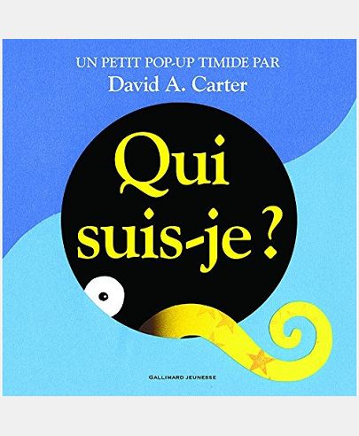QUI SUIS-JE ?