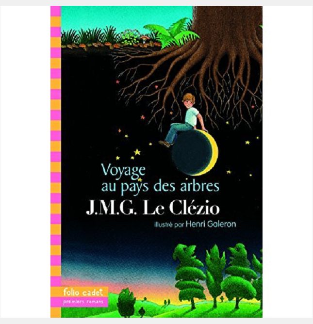 VOYAGE AU PAYS DES ARBRES