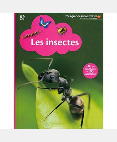 NOUVELLE PRESENTATION - T14 - LES INSECTES