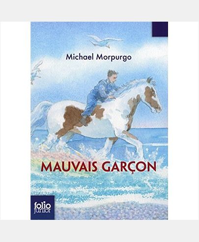 MAUVAIS GARCON