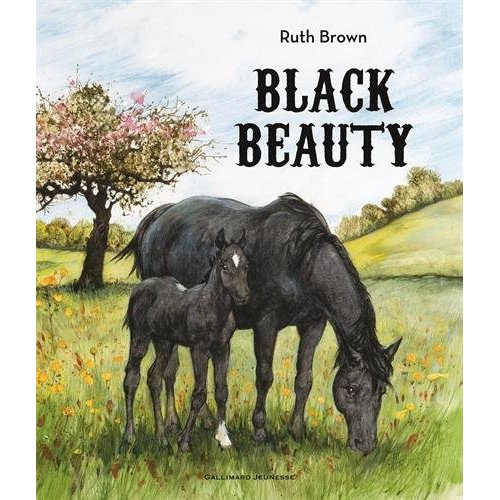 BLACK BEAUTY