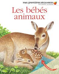 LES BEBES ANIMAUX