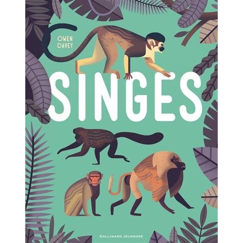 SINGES