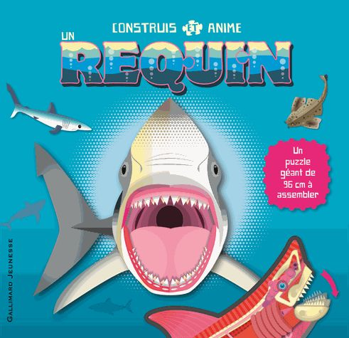 CONSTRUIS ET ANIME UN REQUIN