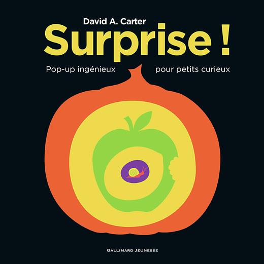 SURPRISE ! - POP-UP INGENIEUX POUR PETITS CURIEUX