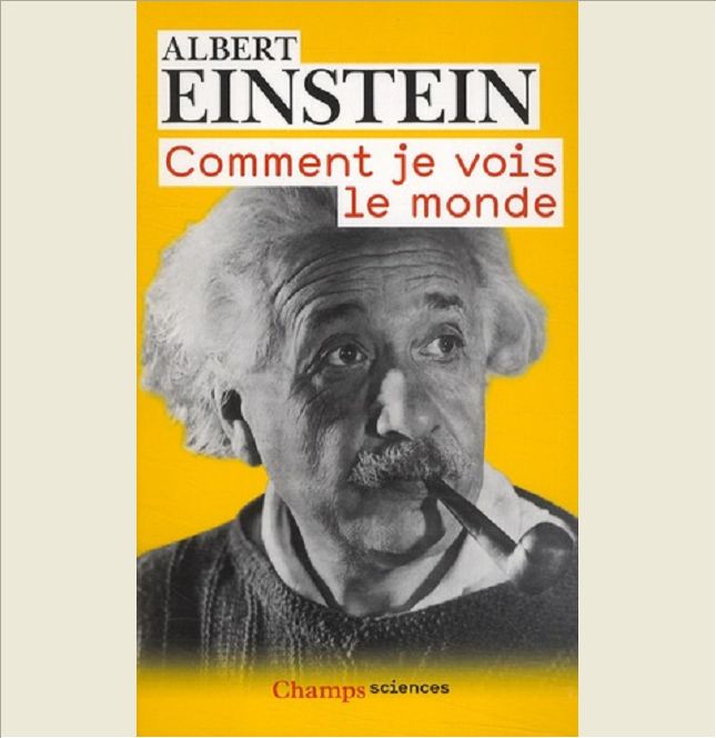 COMMENT JE VOIS LE MONDE
