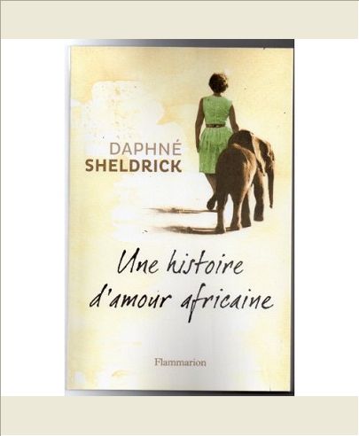 Une histoire d'amour africaine
