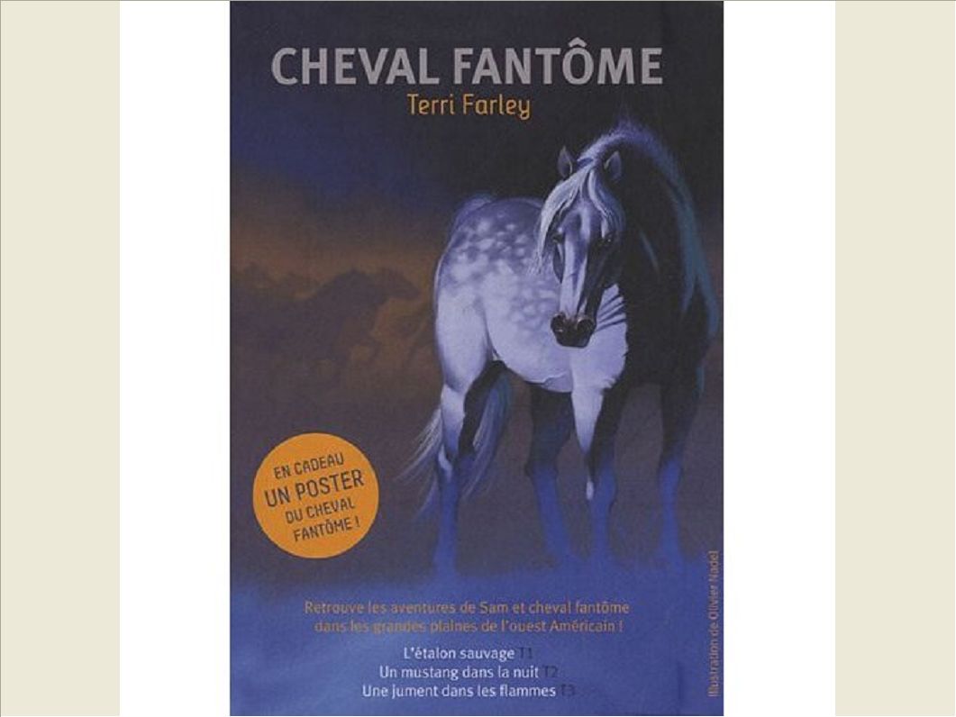 COFFRET CHEVAL FANTOME T1 A T3 11/2011 - + 1 AFFICHE