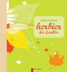 MON PREMIER HERBIER DES FEUILLES
