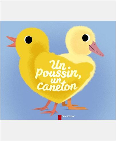UN POUSSIN, UN CANETON