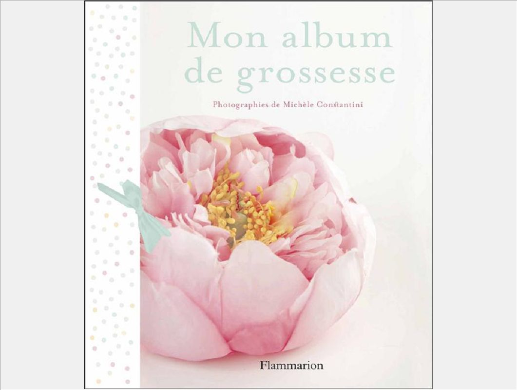 MON ALBUM DE GROSSESSE