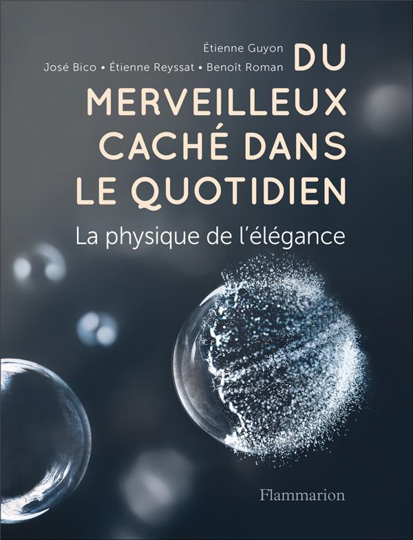 DU MERVEILLEUX CACHE DANS LE QUOTIDIEN - LA PHYSIQUE DE L'ELEGANCE