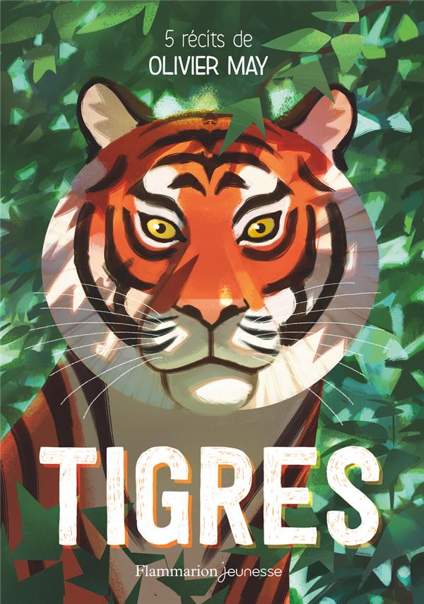TIGRES - 5 RECITS