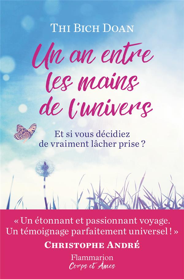 UN AN ENTRE LES MAINS DE L'UNIVERS - ET SI VOUS DECIDIEZ VRAIMENT DE LACHER PRISE ?