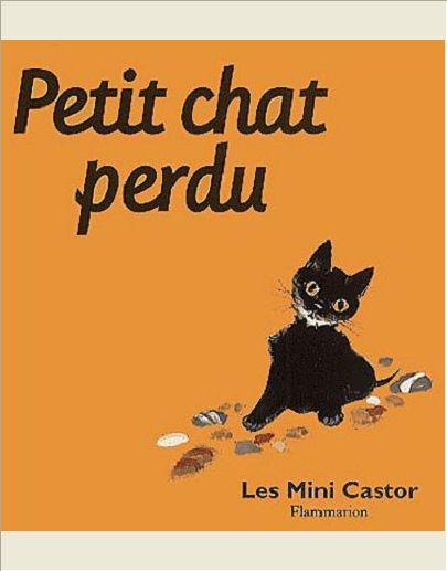 PETIT CHAT PERDU