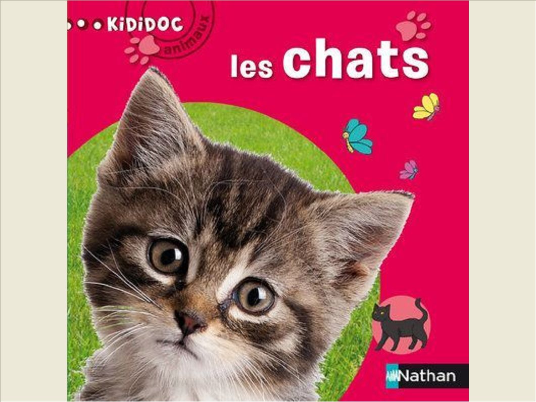 NUMERO 3 LES CHATS KIDIDOC ANIMAUX - VOL03