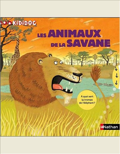 N15 - ANIMAUX DE LA SAVANE