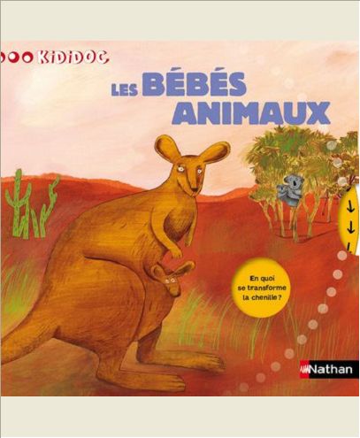 N29 - BEBES ANIMAUX