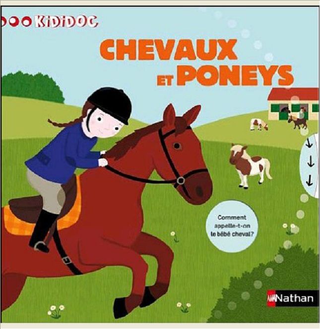 N39 - CHEVAUX ET LES PONEYS