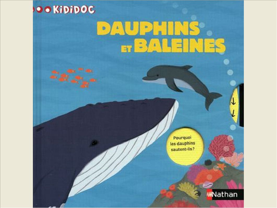 N41 - DAUPHINS ET BALEINES