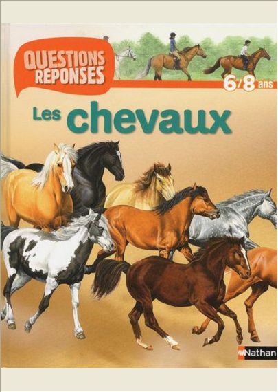 N01 - CHEVAUX