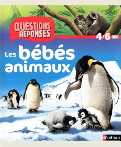 N09 - BEBES ANIMAUX