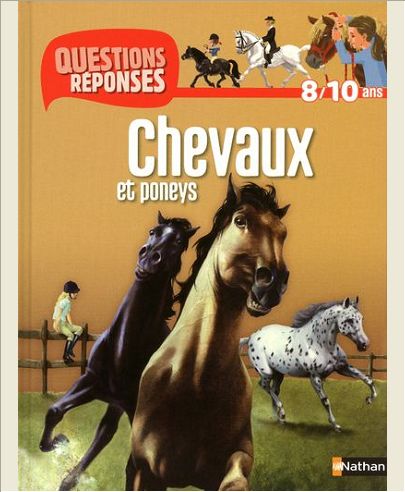 N05 - CHEVAUX ET PONEYS
