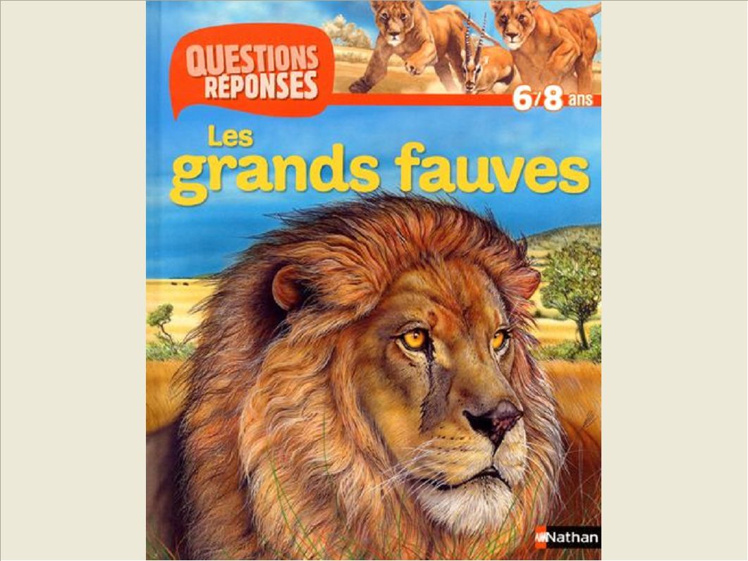GRANDS FAUVES (AVEC PRIME DINO