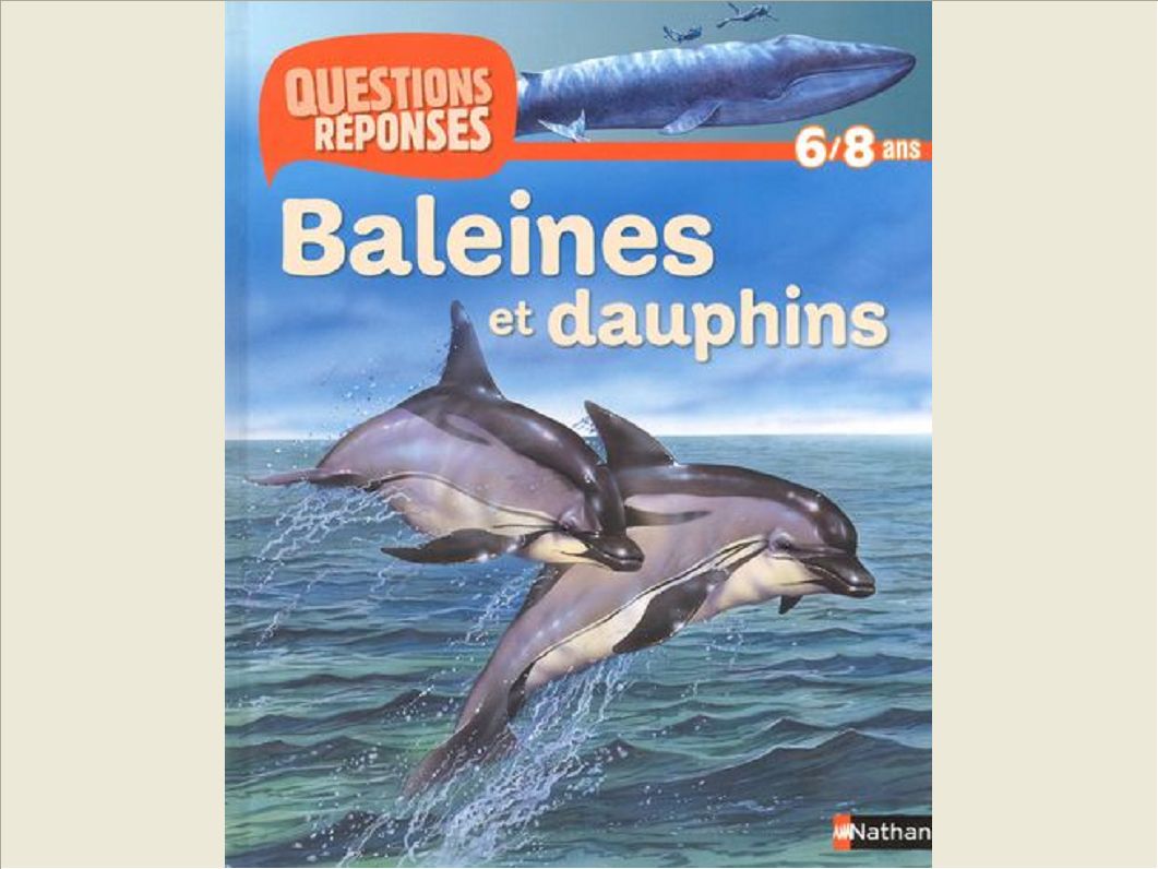 BALEINES ET DAUPHINS (AV PRIME