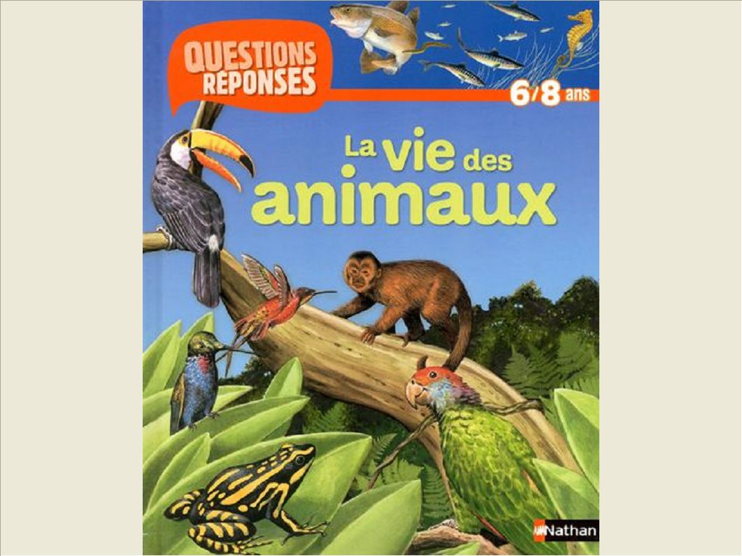 VIE DES ANIMAUX (AVEC PRIME DI