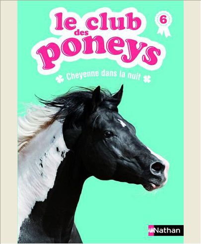 LE CLUB DES PONEYS 06: CHEYENNE DANS LA NUIT - VOL06