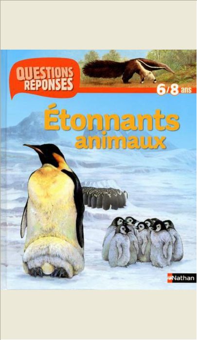 N31 - ETONNANTS ANIMAUX