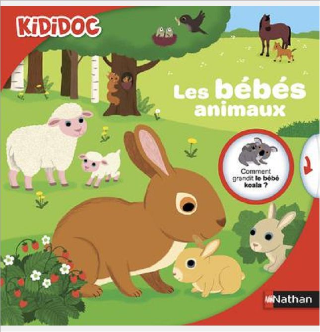 LES BEBES ANIMAUX - VOL29