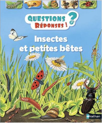 INSECTES ET PETITES BETES - VOL11