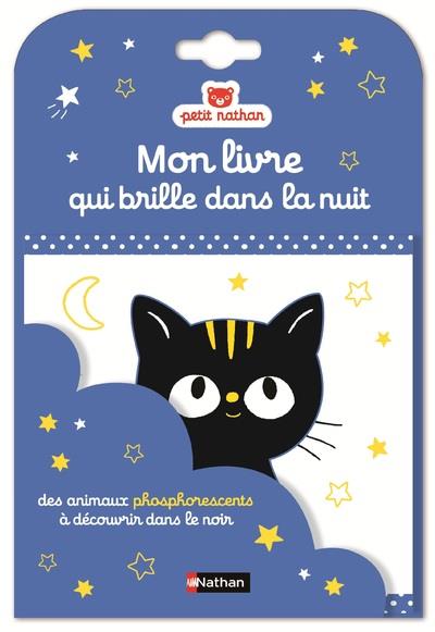 MON LIVRE QUI BRILLE DANS LA NUIT CAT NOEL 2015