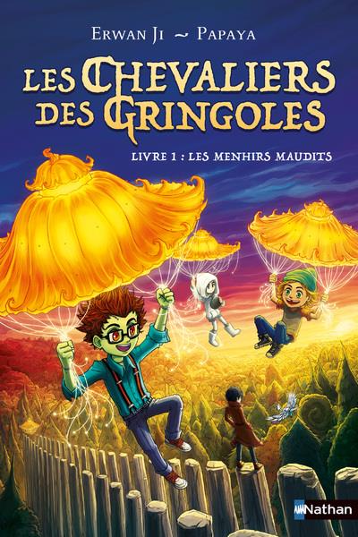 LES CHEVALIERS DES GRINGOLES - TOME 01 : LES MENHIRS MAUDITS - VOL01