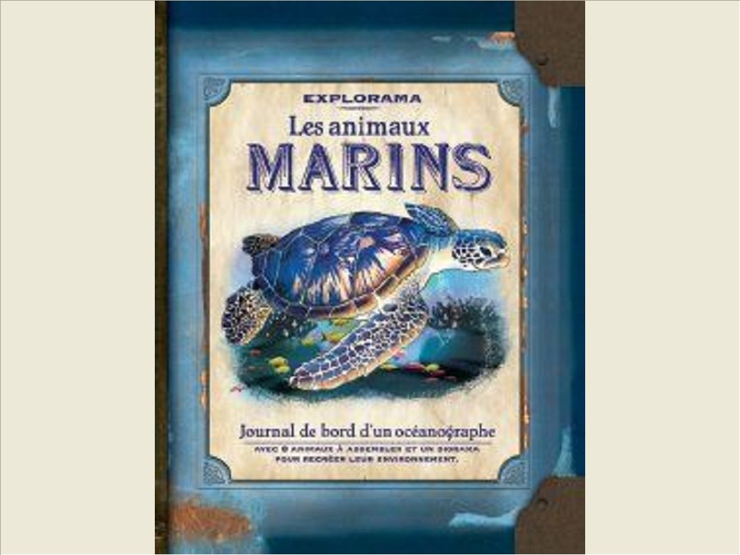 LES ANIMAUX MARINS - JOURNAL DE BORD D'UN OCEANOGRAPHE
