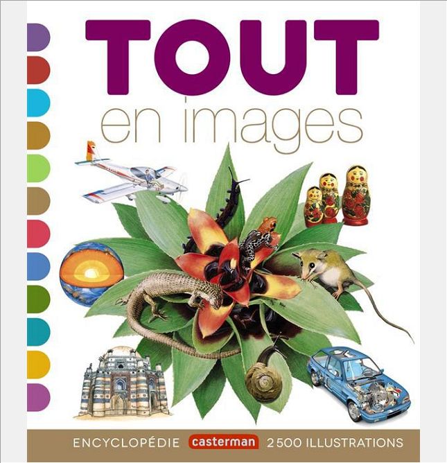 TOUT EN IMAGES