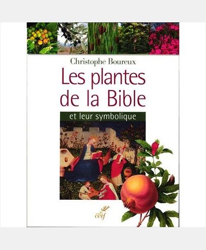 LES PLANTES DE LA BIBLE