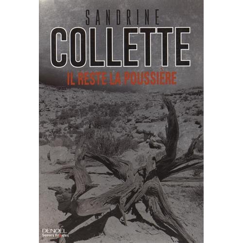 IL RESTE LA POUSSIERE