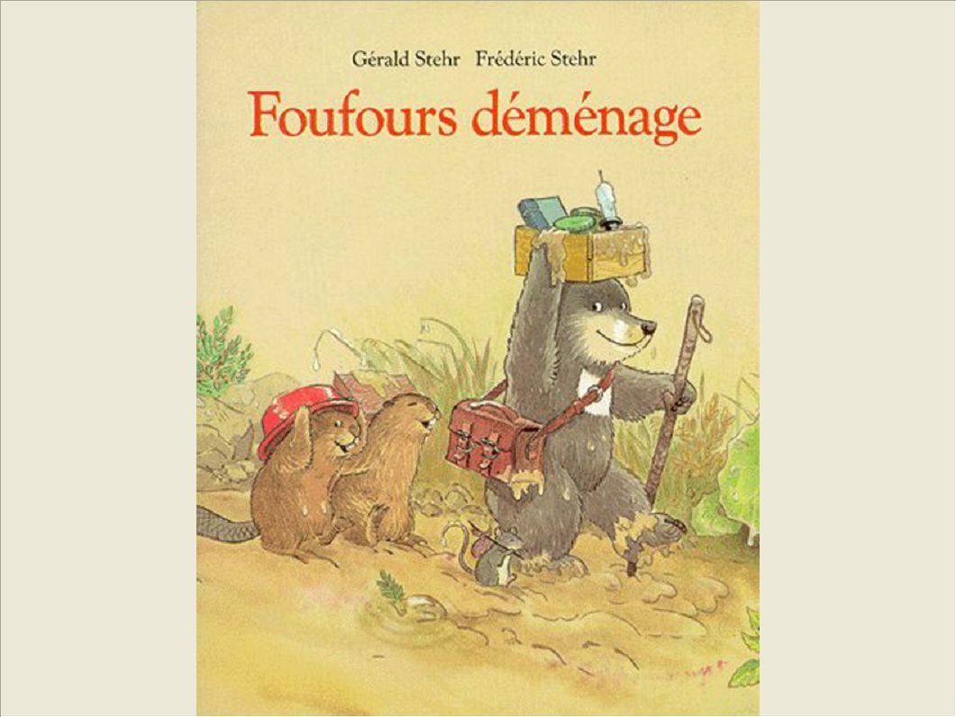 FOUFOURS DEMENAGE