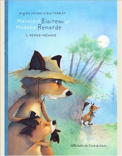 MR BLAIREAU REMUE MENAGE